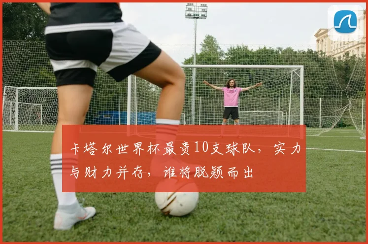 卡塔尔世界杯最贵10支球队，实力与财力并存，谁将脱颖而出