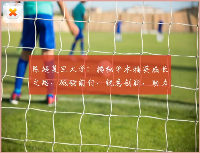 陈超复旦大学：揭秘学术精英成长之路，砥砺前行，锐意创新，助力国家发展