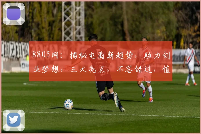 8805网：揭秘电商新趋势，助力创业梦想，三大亮点，不容错过，值得一看