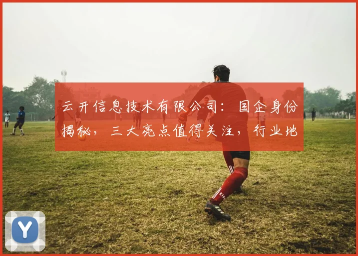 云开信息技术有限公司：国企身份揭秘，三大亮点值得关注，行业地位引关注