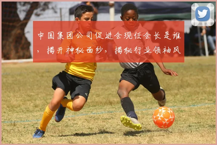 中国集团公司促进会现任会长是谁，揭开神秘面纱，揭秘行业领袖风采