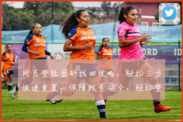 网页登陆密码找回攻略，轻松三步快速重置，保障账号安全，轻松登录，一步到位